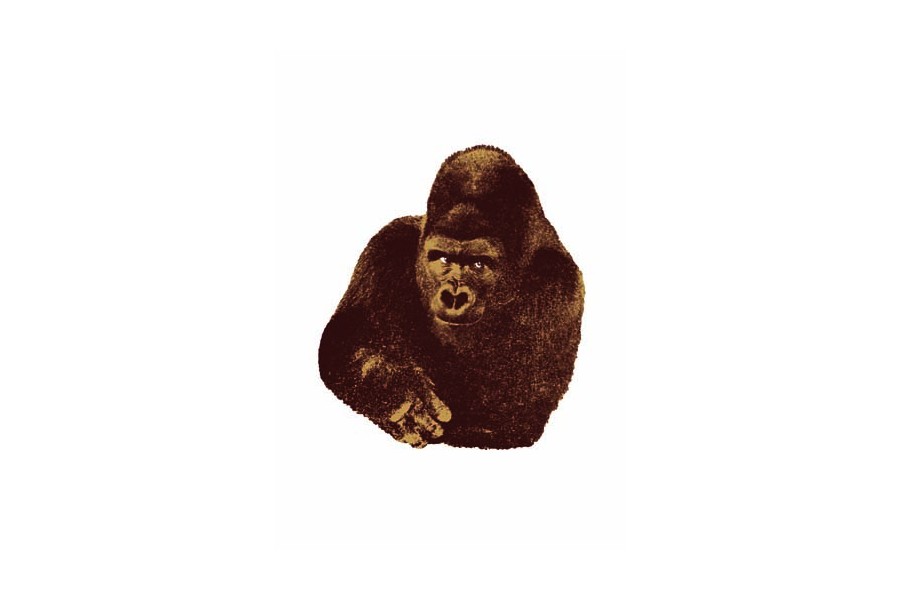 Quindici, IL Gorilla by Danese Artemide Design Accessories